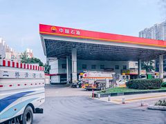 -中国石油徐东路加油站(武汉大道店)