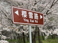 -天河潭旅游度假区