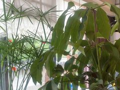 -懒人盐府人家(航天桥店)