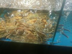 -蟹之国·精品蟹料理(极地店)