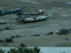 -海堤纪念公园