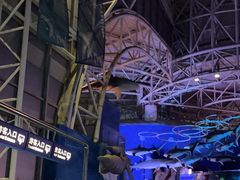 -烟台海昌鲸鲨海洋公园