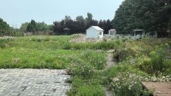 -DORA kids 朵拉儿童摄影花园店