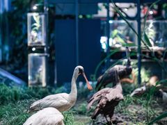 -中国湿地博物馆