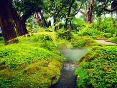 -Chom Cafe and Restaurant