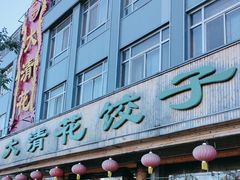 -大清花饺子(山庄店)
