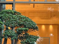 -浙江西子宾馆·瑶园咖啡厅