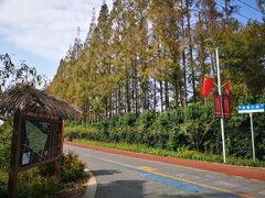 -上海长兴岛郊野公园