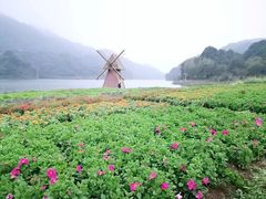 -广州市石门国家森林公园