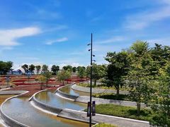 -宝安西湾红树林湿地公园