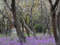 -白塘生态植物园