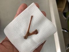 -派美特宠物医院·核磁CT·骨科肿瘤·疑难转诊(沈农禾丰店)