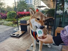 -星巴克(珠海仁恒滨海中心店)