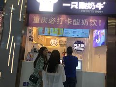 门面-一只酸奶牛(八一路店)