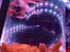 -华声天桥民俗文化园