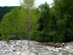 -黑河国家森林公园