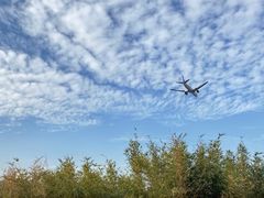 -瑞幸咖啡(广东外经贸大厦店)