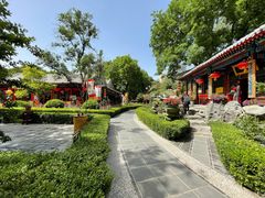 -白家大院·王府宫廷菜(苏州街店)