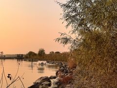 -合肥滨湖国家森林公园