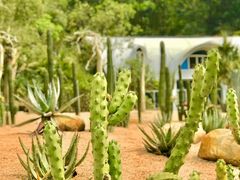 -深圳市中科院仙湖植物园