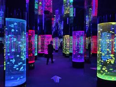 -成都浩海立方海洋公园