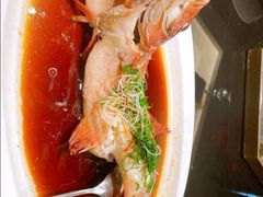 东星斑-海景壹号大酒店(滨湖店)