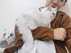 -美联众合动物医院·24h转诊中心