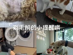 -派特宠物医院(海岸城店)