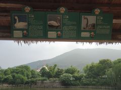 -无锡动物园·太湖欢乐园