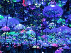 -天津梵高星空艺术馆(天河城旗舰店)