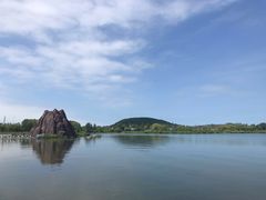 -北药泉