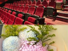 -UME影城(安贞DTS:X店)