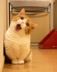 -简影造型·自选烫染接发salon