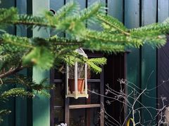 -三鹰之森吉卜力美术馆