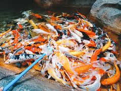 -哈尔滨波塞冬海底世界
