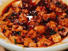 麻婆豆腐-易老妈蹄花.特色川菜(人民公园总店)