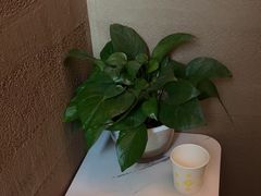 -水云空涧·沐足·采耳·按摩·SPA影院(琶洲店)