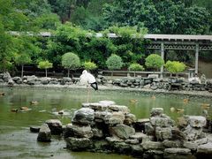 -森林公园(尖草坪区)