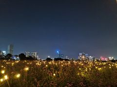 -深圳湾公园(南山区)
