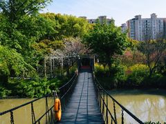 -南汇桃花村