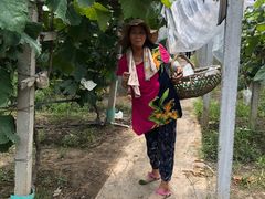 -马陆小张葡萄园农家乐