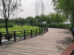 -绿堤公园