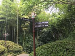 -峨眉山报国寺