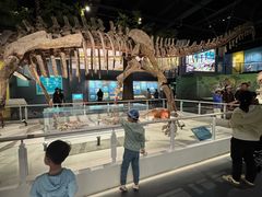 -国家自然博物馆