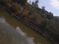 -世界恐龙谷景区