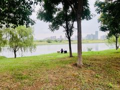 -洋湖国家湿地公园