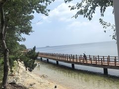 -养马岛旅游度假区