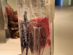 -上海琉璃艺术博物馆