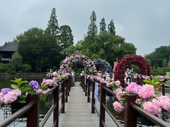 -无锡蠡湖国家湿地公园-蠡园