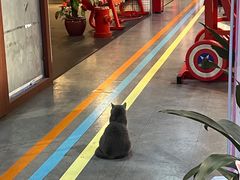 -KingBull私教健身&格斗订制(龙井商业中心店)